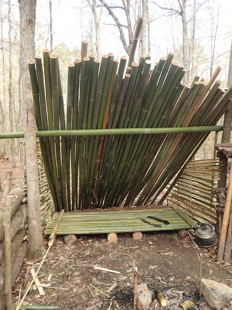 Bamboo camp